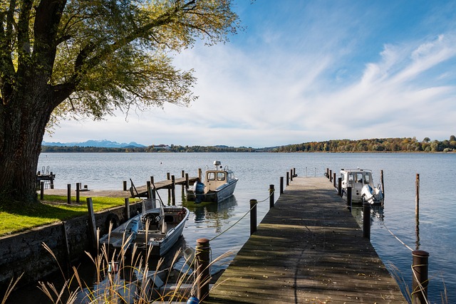 艺术等领域 艺术等领域