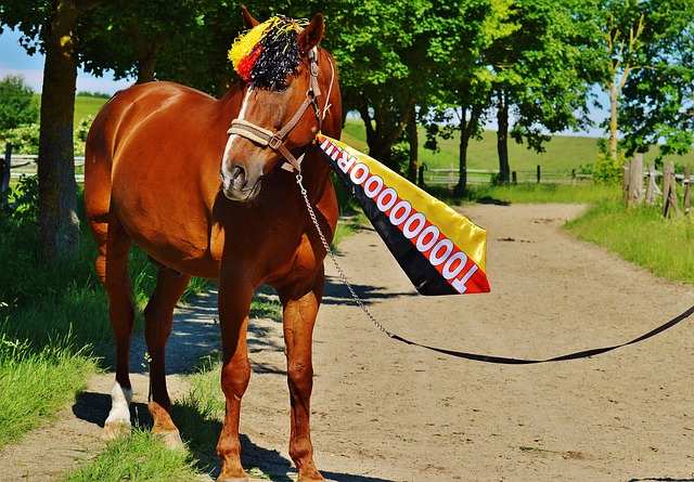 巧把控台前 巧把控台前