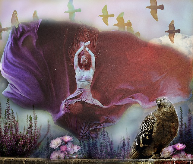 动态变化总 动态变化总